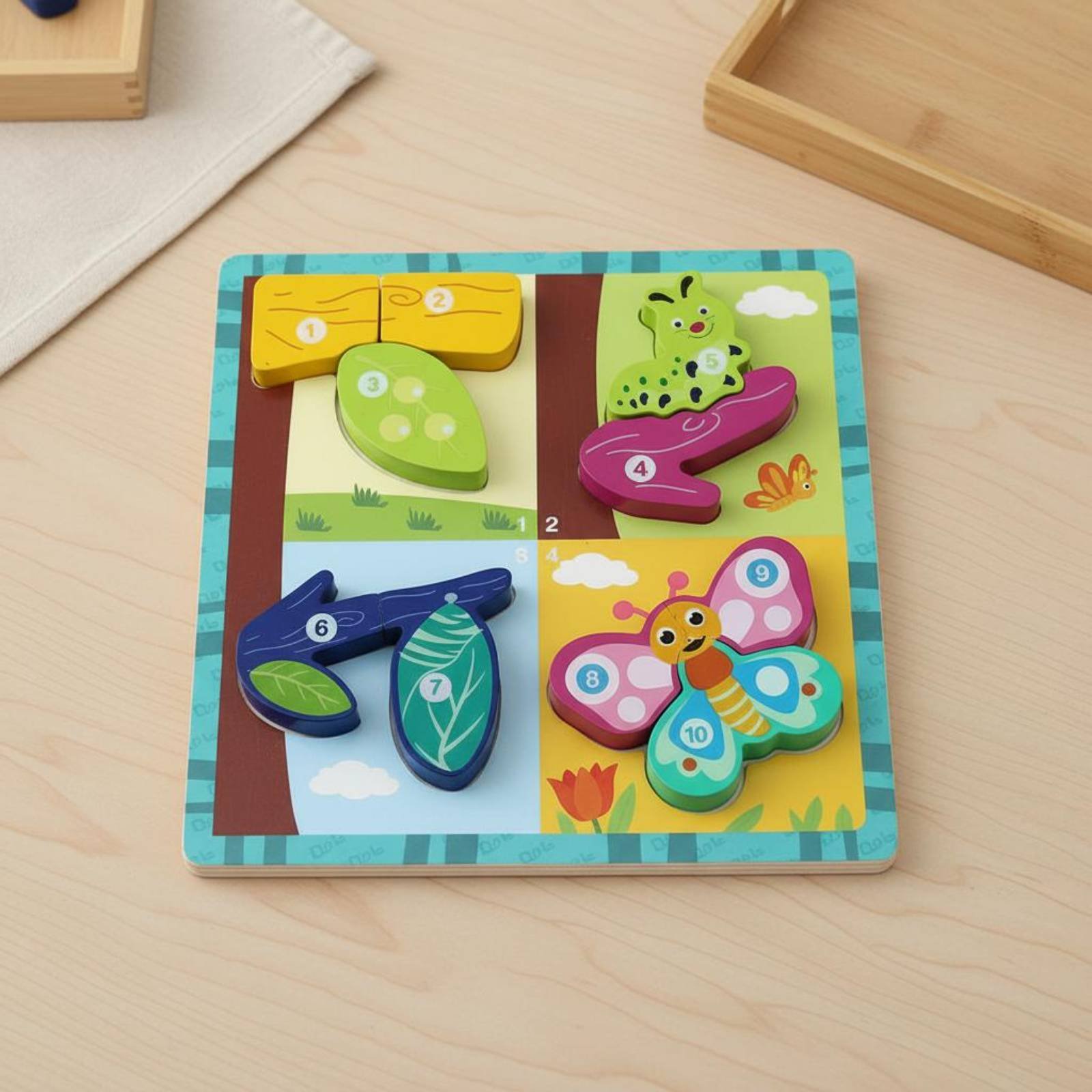 Growth Board Game Board Cognit - Board Game Nature 评论和价格