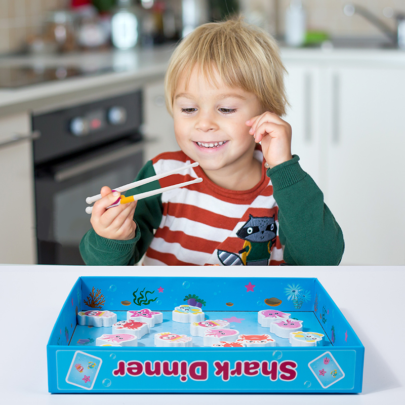 Children Animal Shape Matching - Board Game Nature 评论和价格
